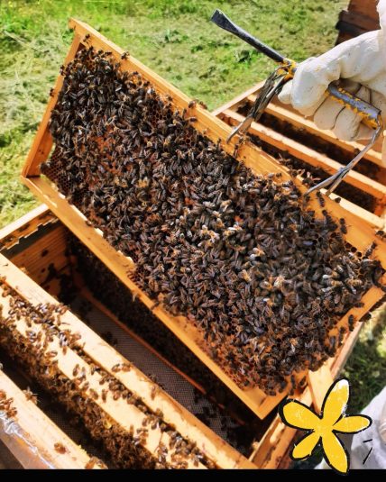 470158286_18080483896571005_904111951085860475_n