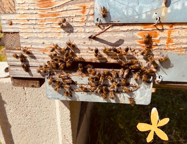 470177178_18080483218571005_2718207461245426956_n